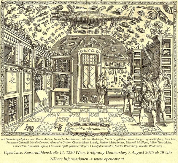 Engraving from Ferrante Imperato's Dell'Historia
                                          Naturale