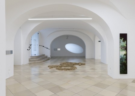 Ausstellungsansicht, dysfunctional malappropriation, 2024, Foto: Lea Sonderegger